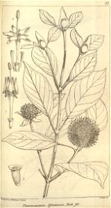 n631_w1150