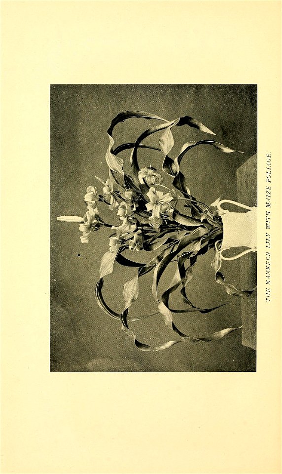 n127_w1150