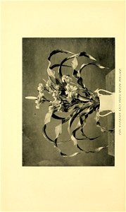 n127_w1150