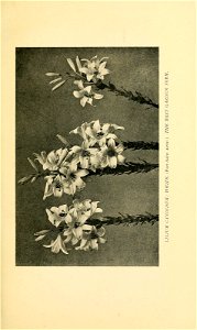 n40_w1150