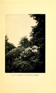 n120_w1150