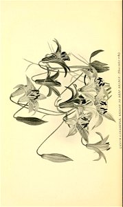 n91_w1150