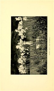 n115_w1150