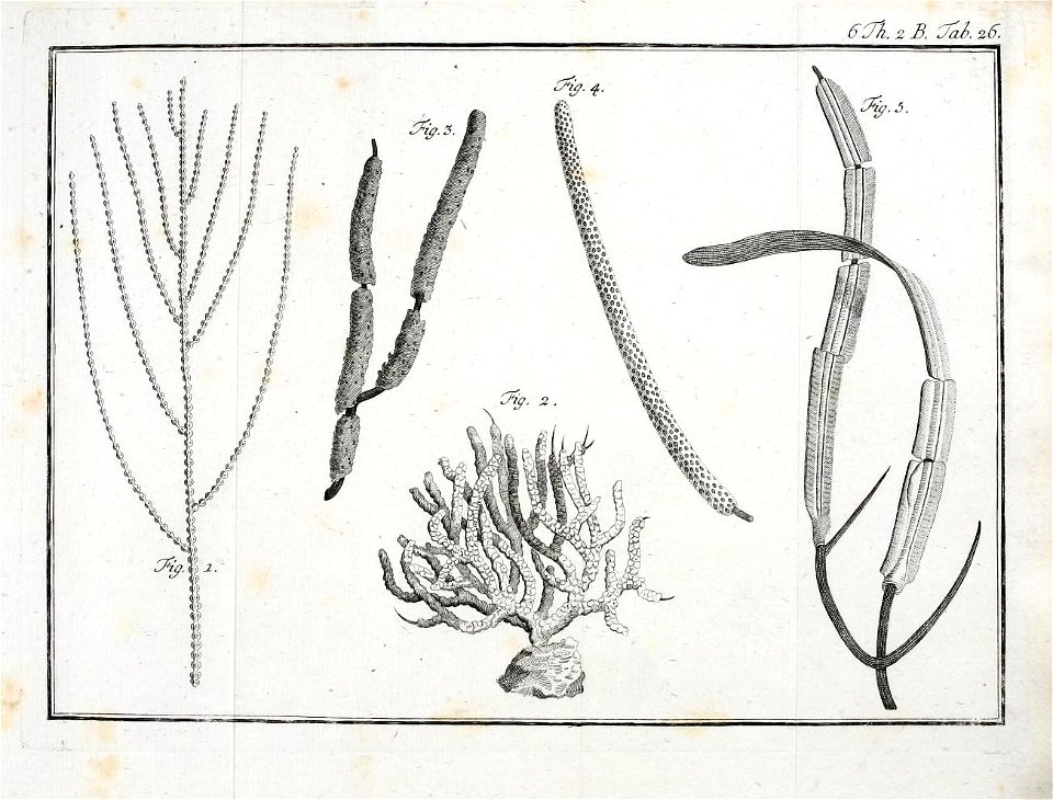 n478_w1150