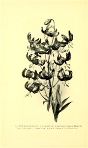 n151_w1150