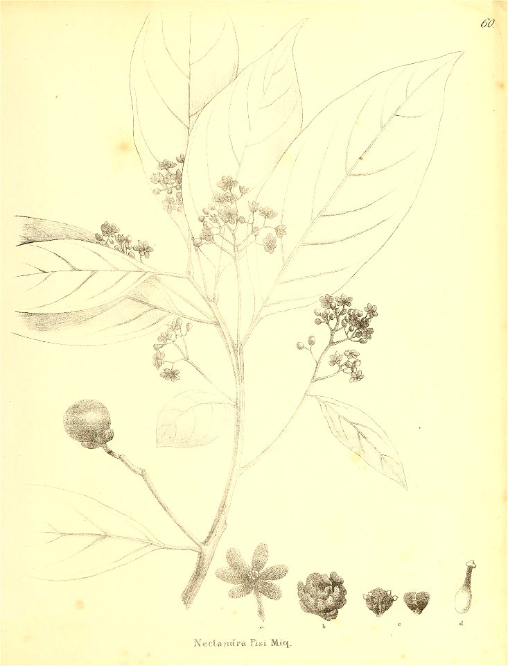 n402_w1150