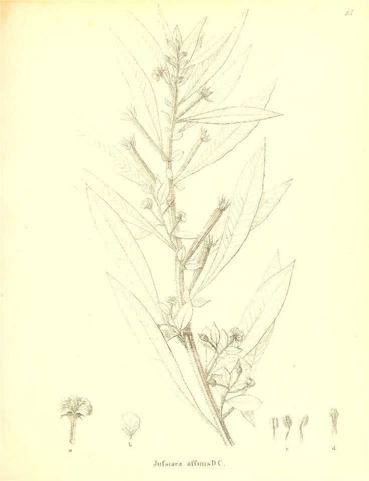 n288_w1150