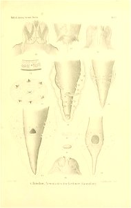 n158_w1150