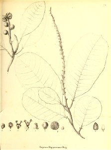 n318_w1150