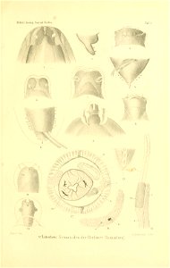 n154_w1150
