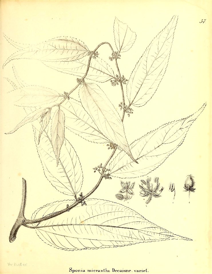 n392_w1150