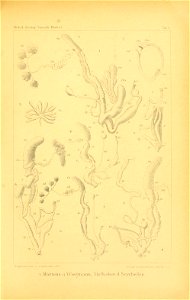 n122_w1150