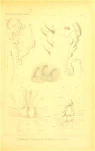 n120_w1150