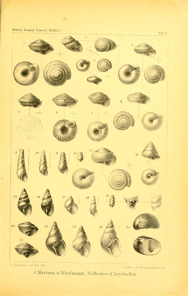 n118_w1150