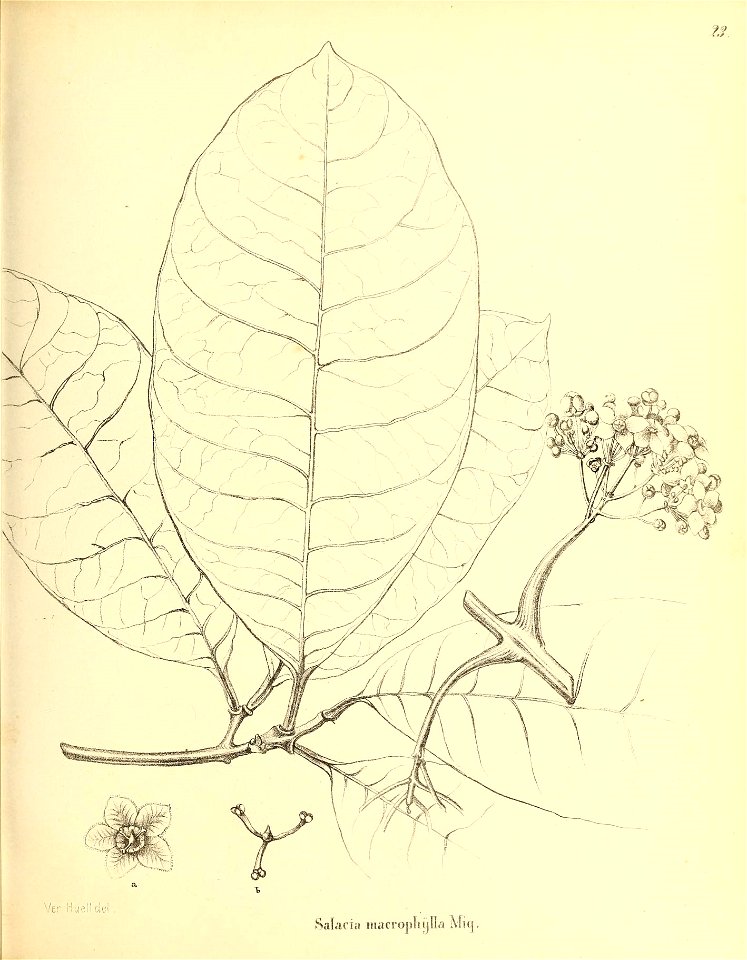 n304_w1150