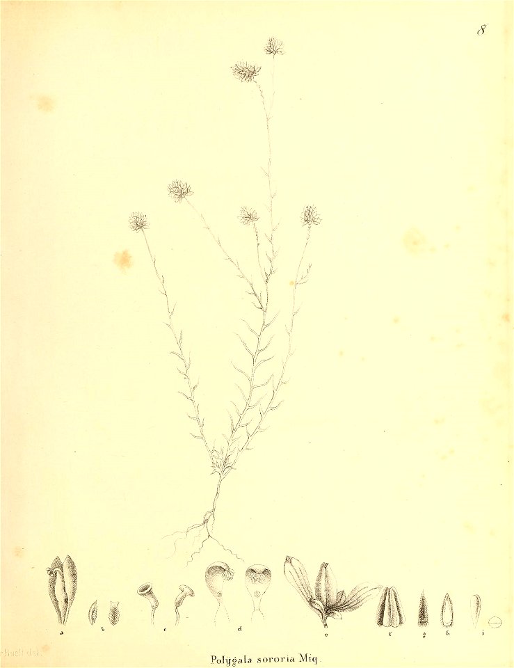 n272_w1150