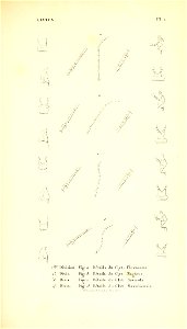 n140_w1150