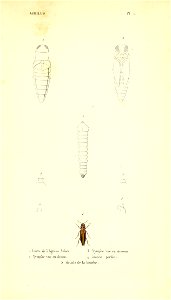 n286_w1150