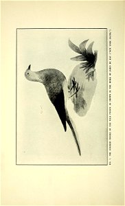 n13_w1150