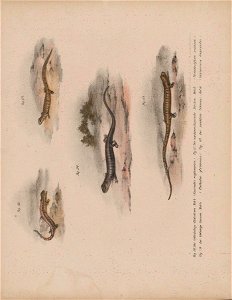 n138_w1150