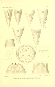 n156_w1150