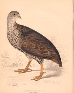 n59_w1150