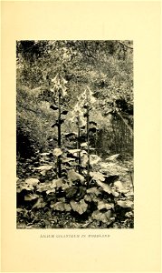 n114_w1150