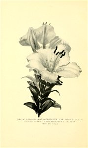 n83_w1150