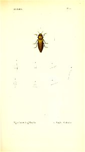 n170_w1150