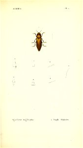 n168_w1150