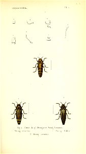 n166_w1150