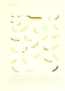 n158_w1150
