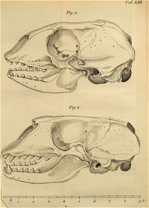 n532_w1150