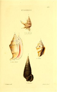 n302_w1150