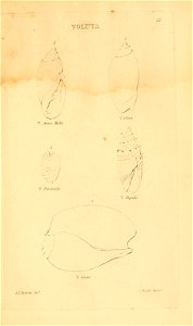 n302_w1150