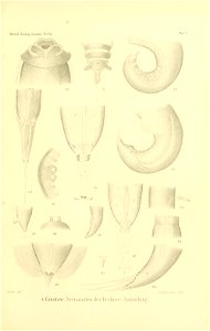 n162_w1150