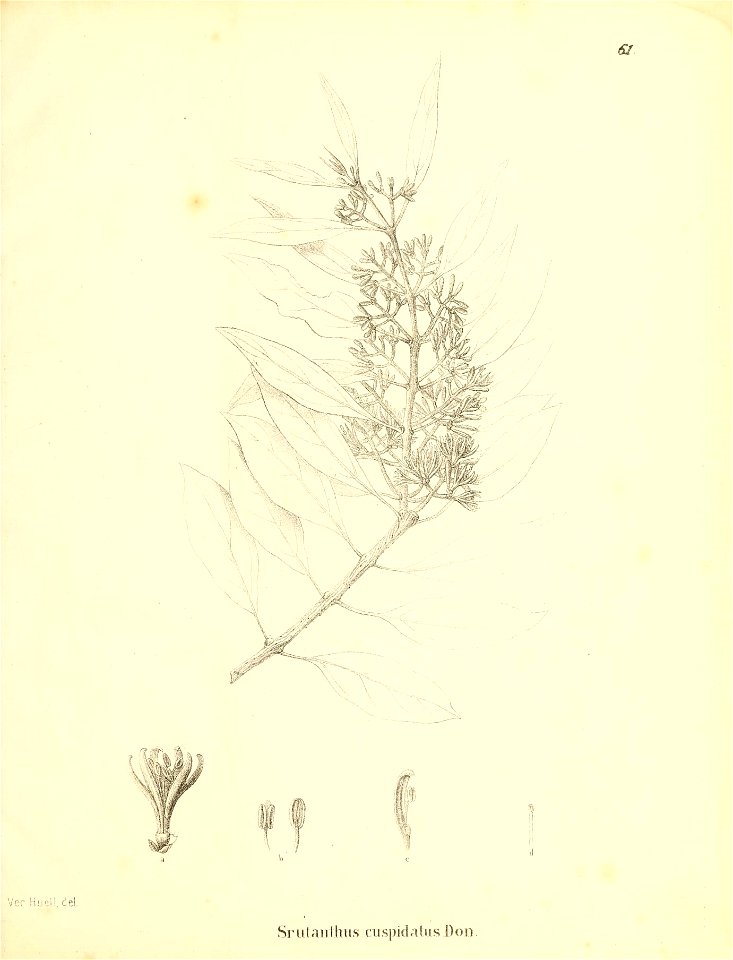 n404_w1150