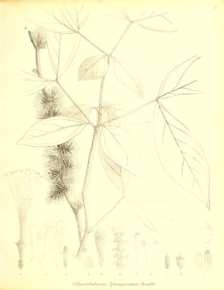 n252_w1150