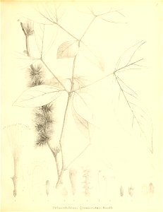 n252_w1150