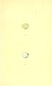 n248_w1150
