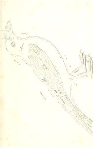n228_w1150