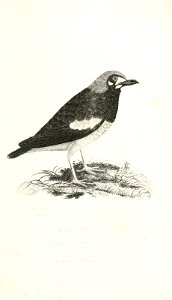 n664_w1150