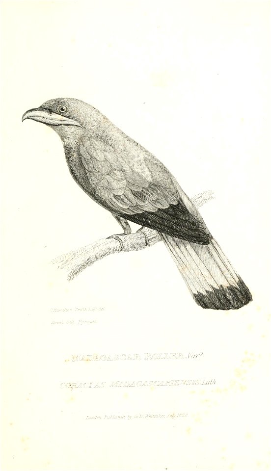 n662_w1150