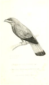 n662_w1150