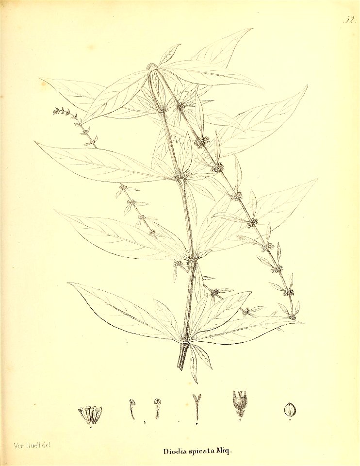 n376_w1150