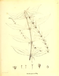 n376_w1150