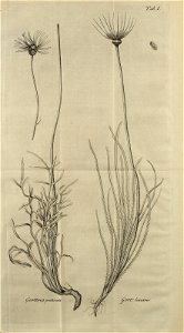 n536_w1150