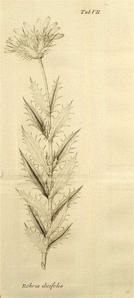 n490_w1150