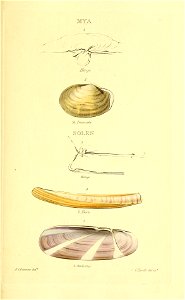n276_w1150
