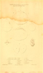 n276_w1150